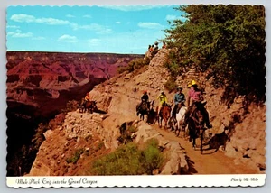 Postal Arizona Gran Cañón Mule Train 22C - Imagen 1 de 2