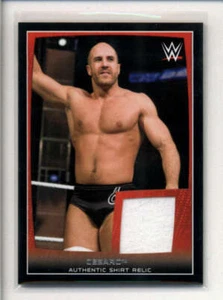 CESARO 2015 TOPPS WWE USED WORN SHIRT RELIC AK1243 - Picture 1 of 1