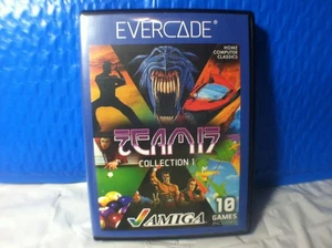 Evercade équipe 17 - Photo 1/3