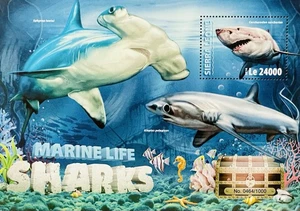 SIERRA LEONE MARINE LIFE SHARKS STAMPS SS MNH 2016 FISH SHARK SEAHORSE STARFISH - Picture 1 of 1