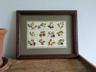 Framed Quilling Paper Craft Filigree Berry Berries Fruit Art Wall 3D Picture  - Image 1 of 4