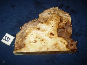 Mapa Maserpappel Maserholz  Drechselholz    180 x  150 x 30 mm   Nr. 398 - Bild 1 von 2