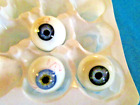 Lot  Antique Mouth Blown Glass Eyes -Germany -Lauscha-1900