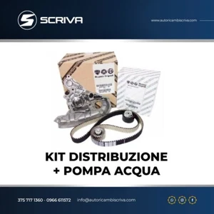 KIT CINGHIA DISTRIBUZIONE POMPA ACQUA ORIGINALE IVECO DAILY III IV 2.3 MULTIJET - Imagen 1 de 1