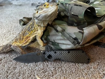 Strider титана заказ анодированный и гравированный нож змея кожи рептилии 1 из 1  - Изображение 1 из 4