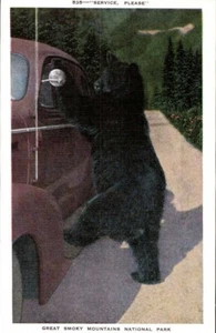 Postal de lino Bear Standing Service Please Smoky Mountains National Park UNP - Imagen 1 de 2