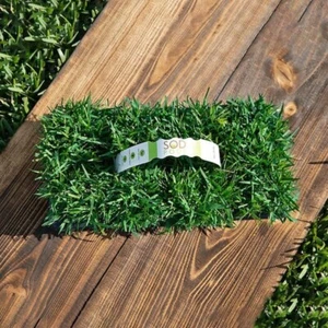 Zoysia Grass Plugs (32-Count) - Natural, Affordable Lawn Improvement - Picture 1 of 4