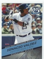 2018 West Michigan Whitecaps (Class A-Detroit Tigers) Ignacio Valdez