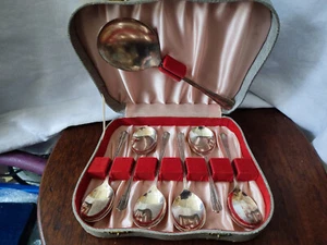 Vintage 20th Century Silver Plate Fruit or Dessert Spoons Boxed Set (M11) - Picture 1 of 8