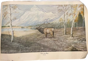 VTG 1978 Gary Adams 16x25 Call Of The Wild Painting 452/500 Signed By Artist - Picture 1 of 4