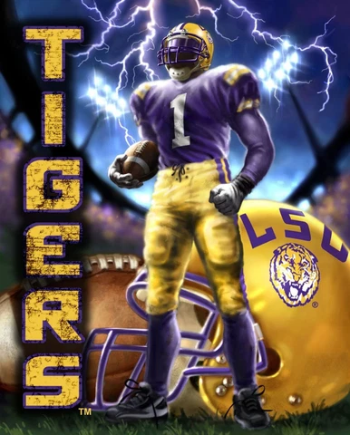 LSU TIGERS LOUISIANA STATE UNIV TEAM BLANKET FLEECE SOFT THROW NCAA LICENSED NWT Cover