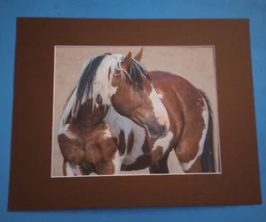 11" x 14" Matted 8" x 10" Print of Picture Bay & White Pinto Horse Looking Left - Picture 1 of 3