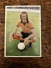 DEREK DOUGAN 1975 PANINI TOP SELLERS SUPERSTARS VERY RARE Wolves #65