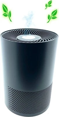 QUIGG Luftreiniger Lufterfrischer EPA Filter Aktivkohlefilter 30W Ionen Funktion - Bild 1 von 4