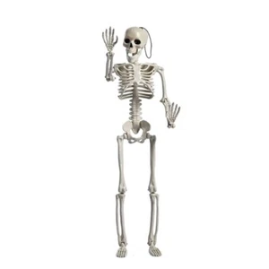 Posable Joints Skeleton Creepys Halloween Plastic Skeleton for Graveyard Decor - Picture 1 of 8