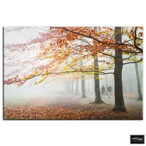 Nebelwald Landschaften KARTON GERAHMTE LEINWAND KUNST Bild HDR 280 g/m² - Bild 1 von 1