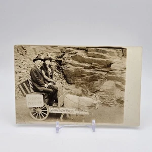 RPPC de Arkansaw Traveler pareja Going To The Races Hot Springs por Goat & Buggy - Imagen 1 de 10