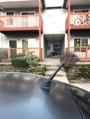 Mástil de antena corto de aluminio negro AM/FM de 4 pulgadas para VOLKSWAGEN BEETLE 1998-2010 Foto 1 de 4