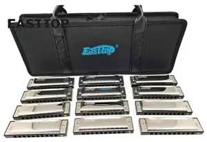 EASTTOP 10Hole Diatonic Blues Armónica Set de 12 teclas HarmonicaMouth Organ Set - Imagen 1 de 13