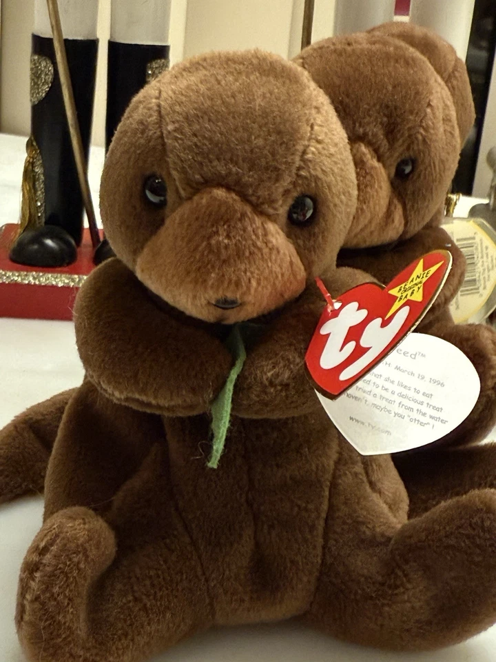 Raro Beanie bebê algas excelente estado 1996 - Imagem 1 de 2