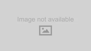 Vapor Canister, with Basic Install Package, Includes Vapor Trapper - Picture 1 of 5