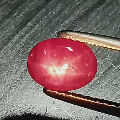  No Heat Star Ruby,1.71 Cttw ,African Star Ruby,Star Ruby 2 Carat Size,Star Ruby - Image 1 of 4