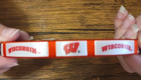 Wisconsin Badgers Fan Bracelets (2 Pack) Cover