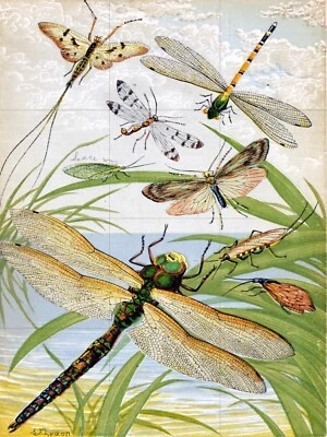 Tile Mural/Mosaic Ceramic Panel of Dragonflies -Insect Print -Dragonfly Wall Art - Image 1 of 4