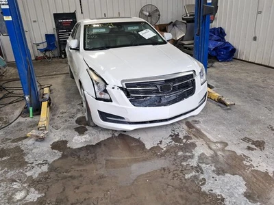 Motor de soplador compatible con 13-15 ATS 439493 Foto 1 de 4