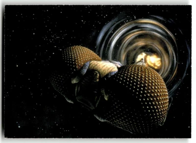 2002 Dynamic Forces Lexx Card The Lexx - Image 1 of 4