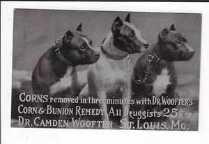 Postal publicitaria Dr. Camden Woofter remedio maíz y juanete perros de San Luis p1165 - Imagen 1 de 2