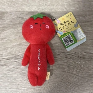 Local Snow Kumamoto Limited Kumamo Tomato - Picture 1 of 1