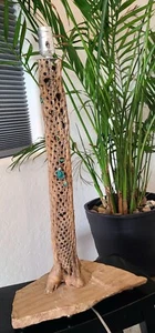 SEDONA Cholla Cactus Turquoise Lamp - Picture 1 of 5
