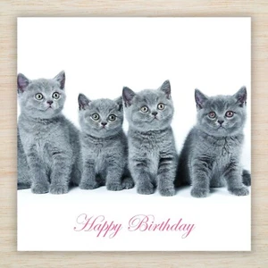 Biglietto Compleanno Gattini Grigio Gatti Tuta Mamma Papà Moglie Sorella Figlia Figlio Nonna - Foto 1 di 11