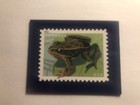 USPS Collector Stamp Magnet - Forever USA - Frog