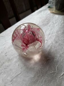 Vintage Caithness Scotland Congratulations Paperweight Pinks special one