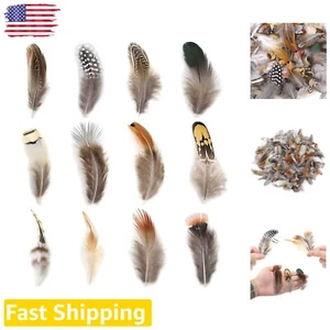 360pcs Assorted Natural Feathers in 12 Styles for DIY Crafts and Dream Catchers - Picture 1 of 8