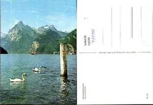 719190 Vierwaldstättersee m. Urirotstock Schwan Schiff Dampfer b. Brunnen - Picture 1 of 1