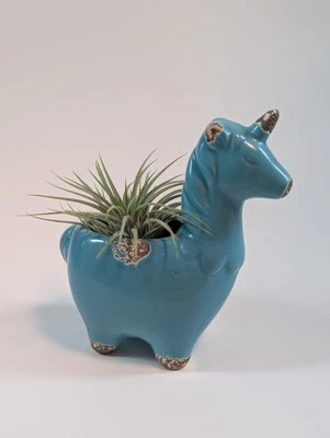 Novelty 5" Ceramic Unicorn Succulent Planter - Teal - Rustic Patina  Foto 1 de 4