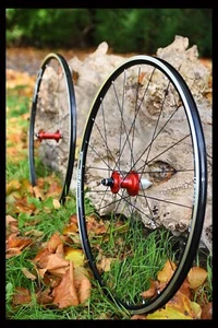 HANDBUILT Hope RS4 red hubs DT Swiss RR411 rims Sapim CX-Ray - Picture 1 of 2