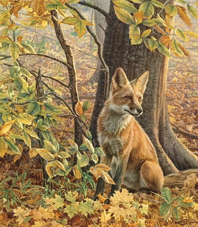 Eyes of Autumn, Kalon Baughan, Wall Art Print Poster 14" x 11"   1737 - Image 1 of 1