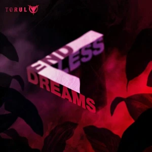 TORUL End Less Dreams CD Digipack 2023 - Bild 1 von 1