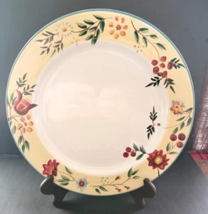 Pfaltzgraff MORNING GLORY 4 Plates 8.5" or 4 Mugs Cups - Picture 1 of 5