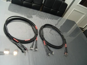 original ACAPELLA LaMusika MKII Speaker Cables / Reinsilber / 2 x 4,00 Meter - Bild 1 von 12