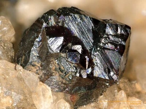 Rutilo - Gorb, Suiza - Imagen 1 de 3