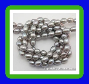 WE SELL QUALITY! High Grade & Luster 8mm Silver Gray Freshwater Pearls 1 Strand - Picture 1 of 2