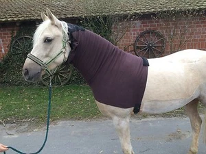 Hafer24 Hochwertiges Ekzemerdecken Halsteil Ekzemer TOP Passform Gr. M - Bild 1 von 1