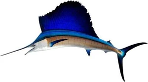 Sailfish Fishing Decal Removable Wall Boat Sticker Art Decor Ocean Animals Fish - Picture 1 of 1