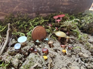 Pilze, Nenngröße G Gartenbahn - Bild 1 von 4