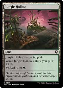 Jungle Hollow #313 | Near Mint | BLC Bloomburrow Commander Magic MTG - Picture 1 of 1
